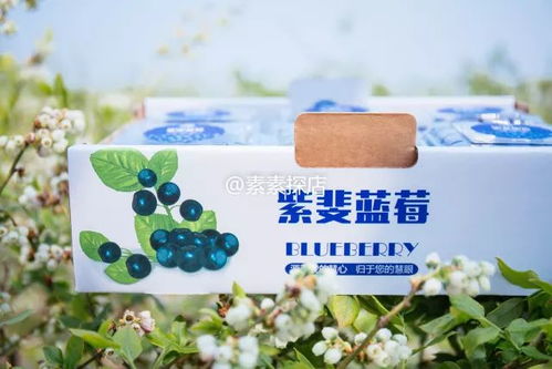 素素探店 網(wǎng)紅藍(lán)莓酒年初沒(méi)搶上蹉腳哭 別再錯(cuò)過(guò)頭茬有機(jī)藍(lán)莓采摘季了