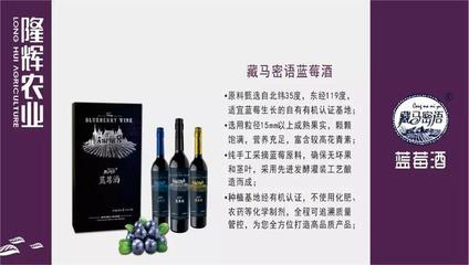 一鎮一品 | 品牌六汪,吾彩寶實有機藍莓